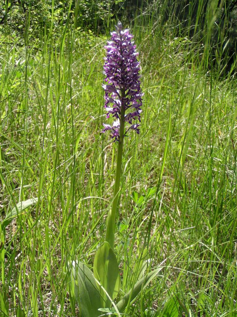 P5280041-1024~0.jpg