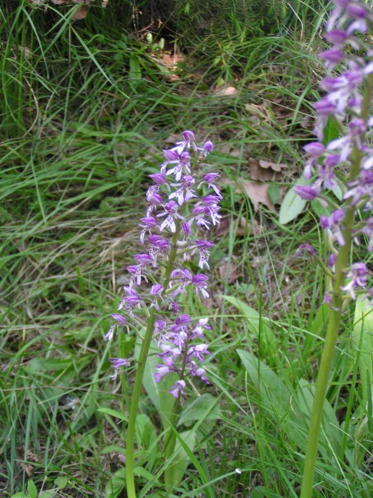 P5280046-1024~0.jpg