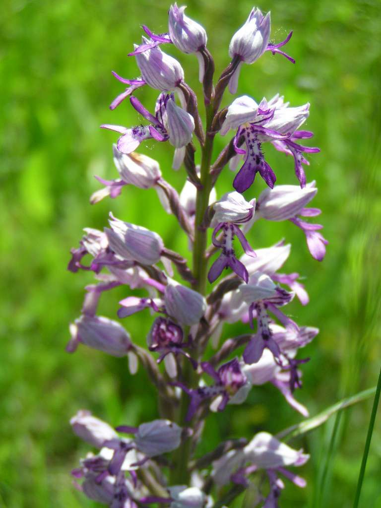 P5280057-1024~0.jpg