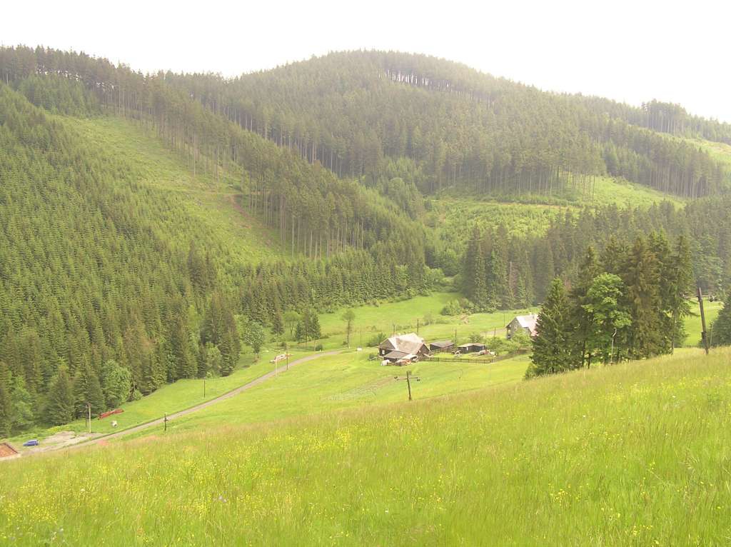 Zlatník

