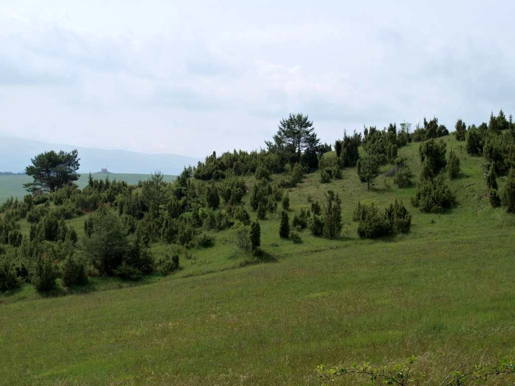 Kláštor
