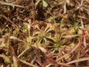 P5299752-1024~0.jpg