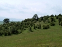 Název souboru=P6034386-1024.jpg
Velikost souboru=246KB
Rozměry=1024x768
Datum přidání=04. Červen 2012 P6034386-1024.jpg