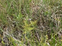 P6034436-1024~0.jpg