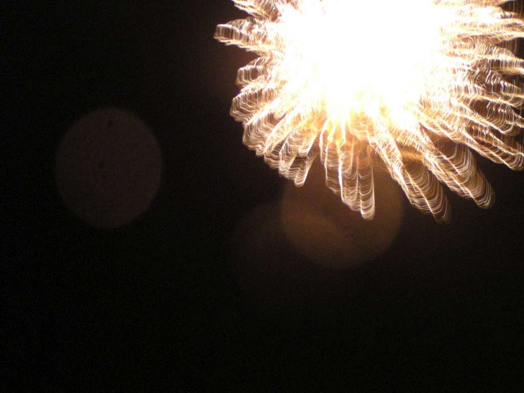 P6100090-1024.jpg
