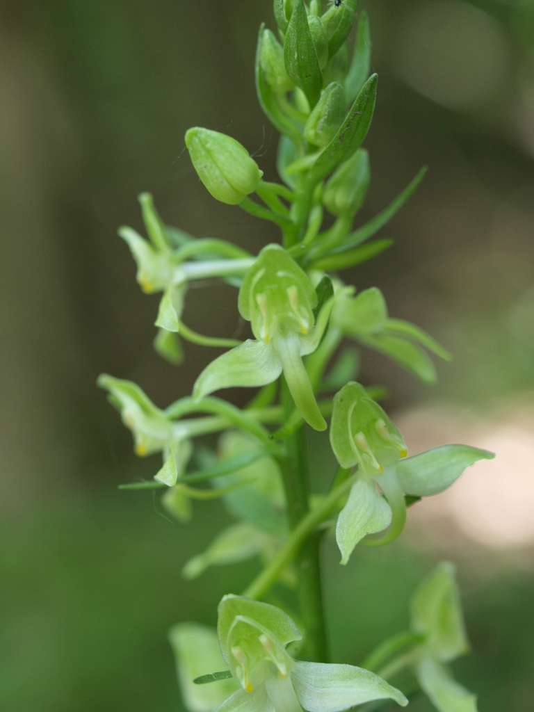 P6140069-1024~0.jpg