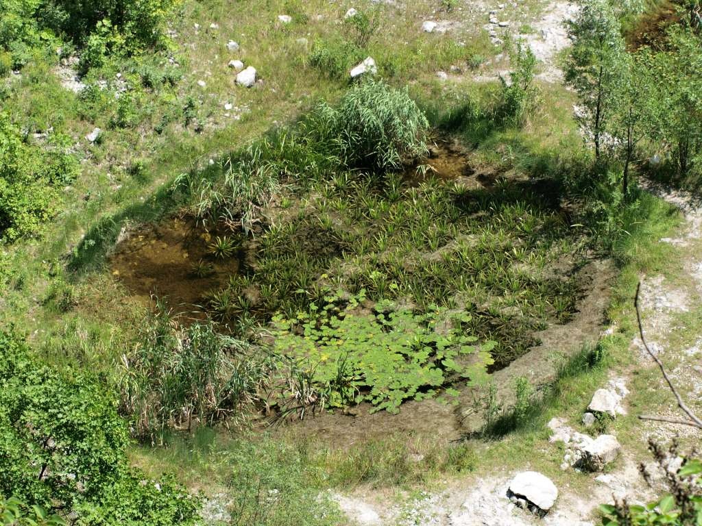 Arboretum

