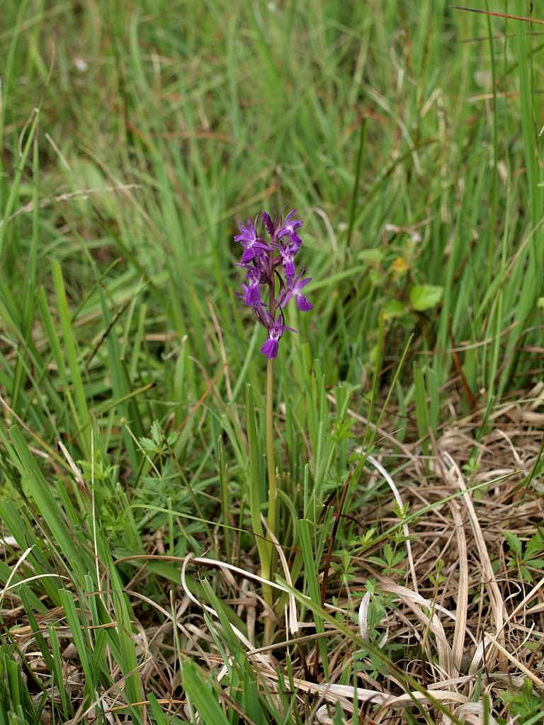 P6285022-1024~0.jpg