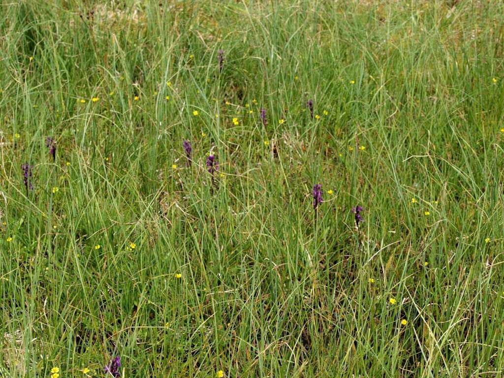 P6285085-1024~0.jpg