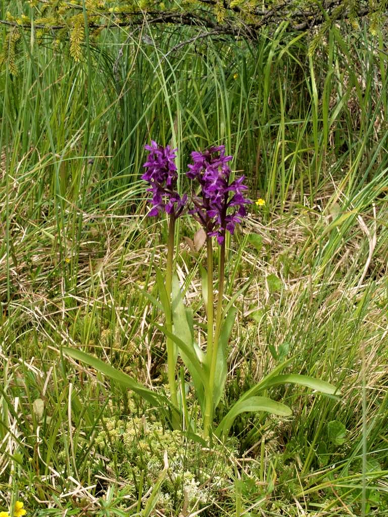 P6285092-1024~0.jpg