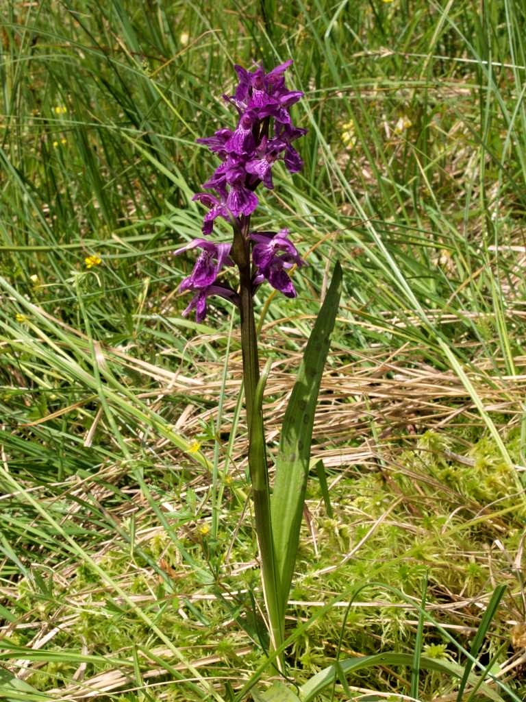P6285123-1024~0.jpg