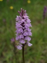 P6180384-1024~0.jpg