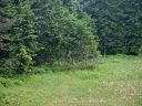 Název souboru=P6264833-1024.jpg
Velikost souboru=449KB
Rozměry=1024x768
Datum přidání=26. Červen 2012 P6264833-1024.jpg