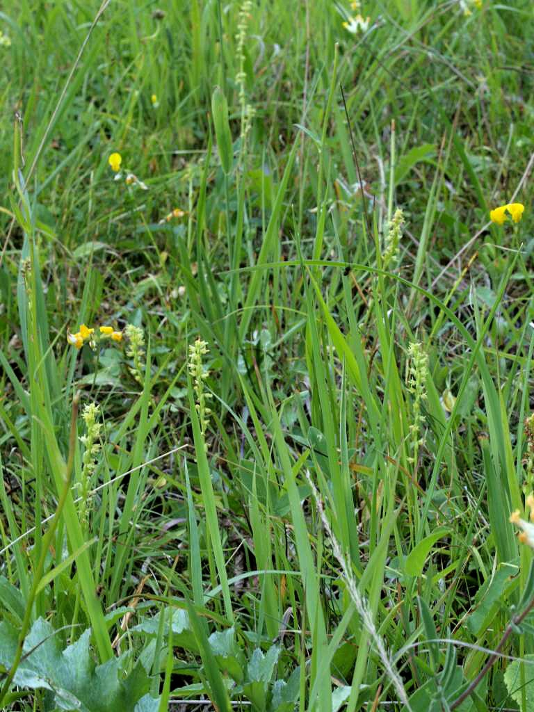 P7035464-1024~0.jpg