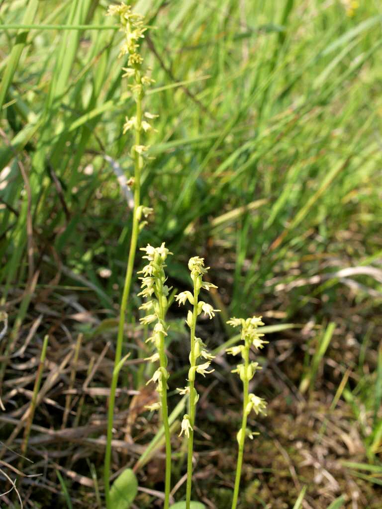 P7035471-1024~0.jpg