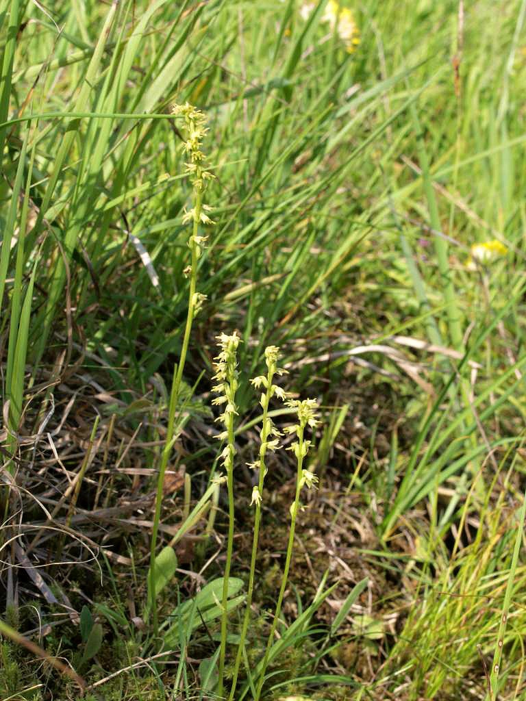 P7035472-1024~0.jpg