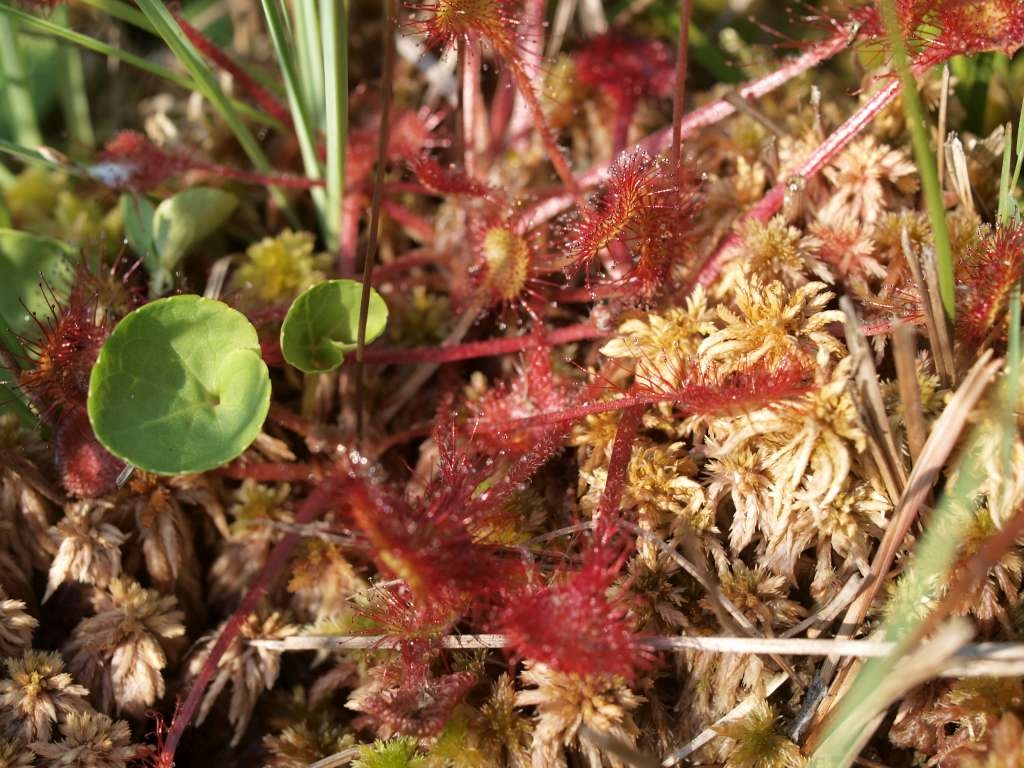 P7065615-1024~0.jpg