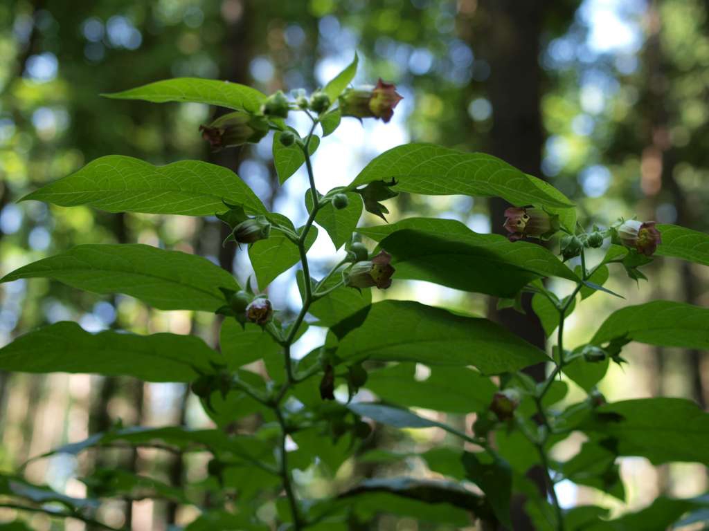 P7145513-1024~0.jpg