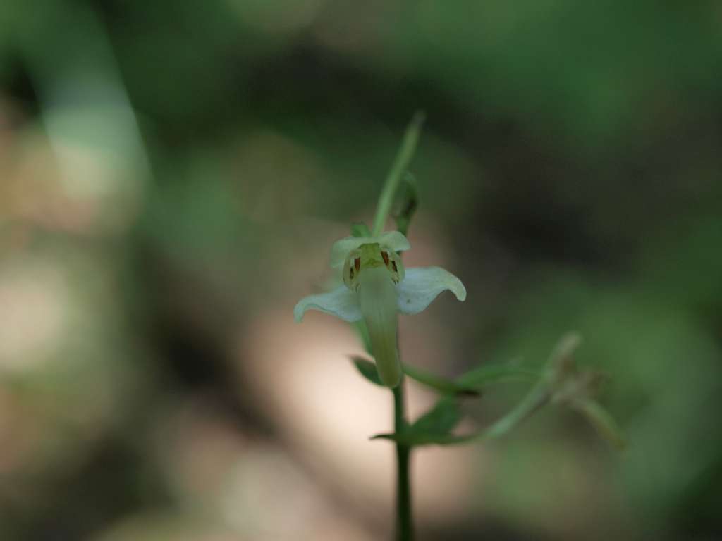 P7145519-1024~0.jpg