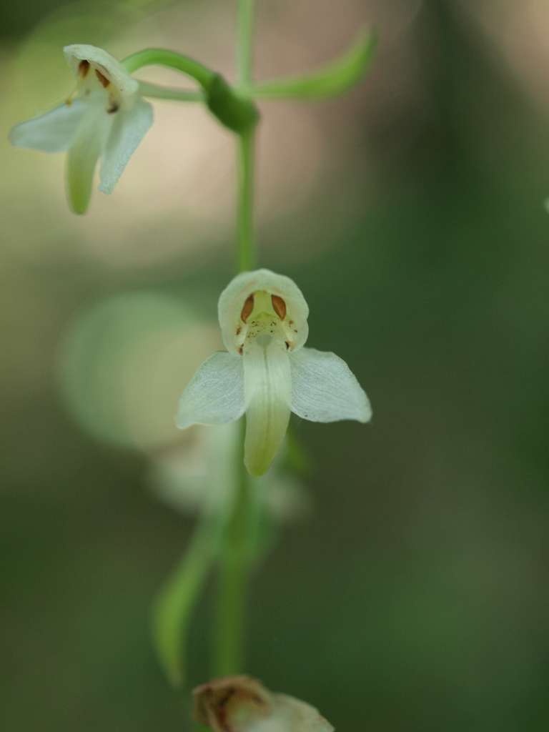 P7145520-1024~0.jpg