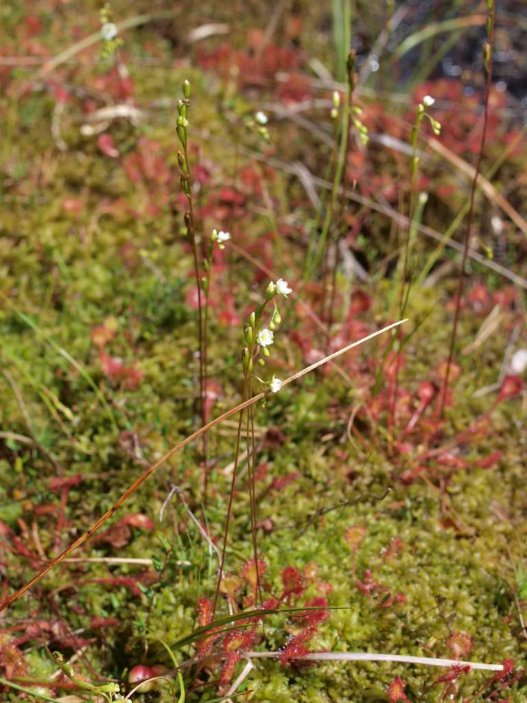 P7150498-1024~2.jpg
