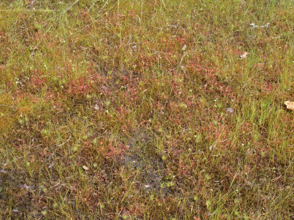 P7150541-1024~0.jpg