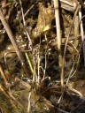 P6295397-1024~0.jpg