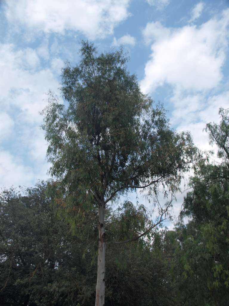 P7291012-1024.jpg