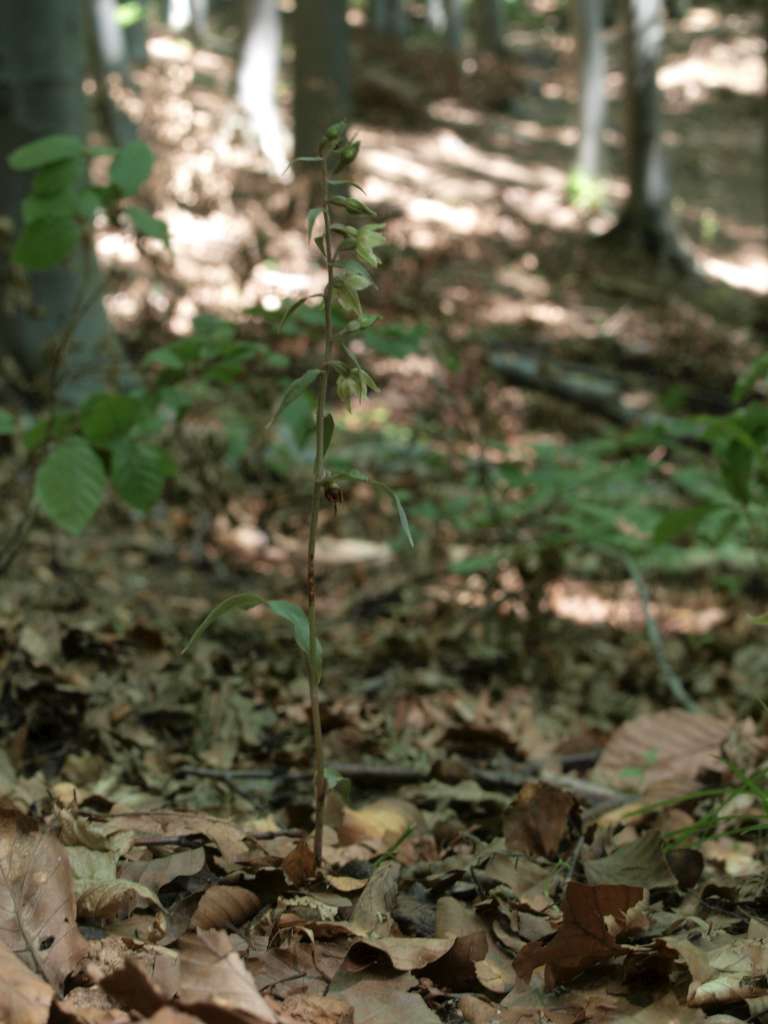 P8025923-1024~0.jpg