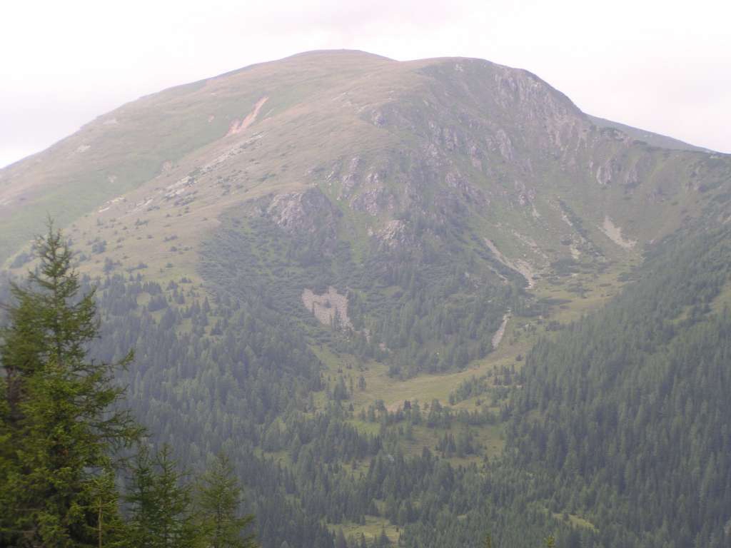 P8040007-1024.jpg
