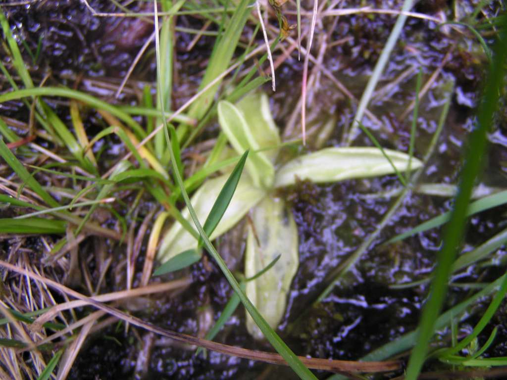 P8040014-1024~3.jpg