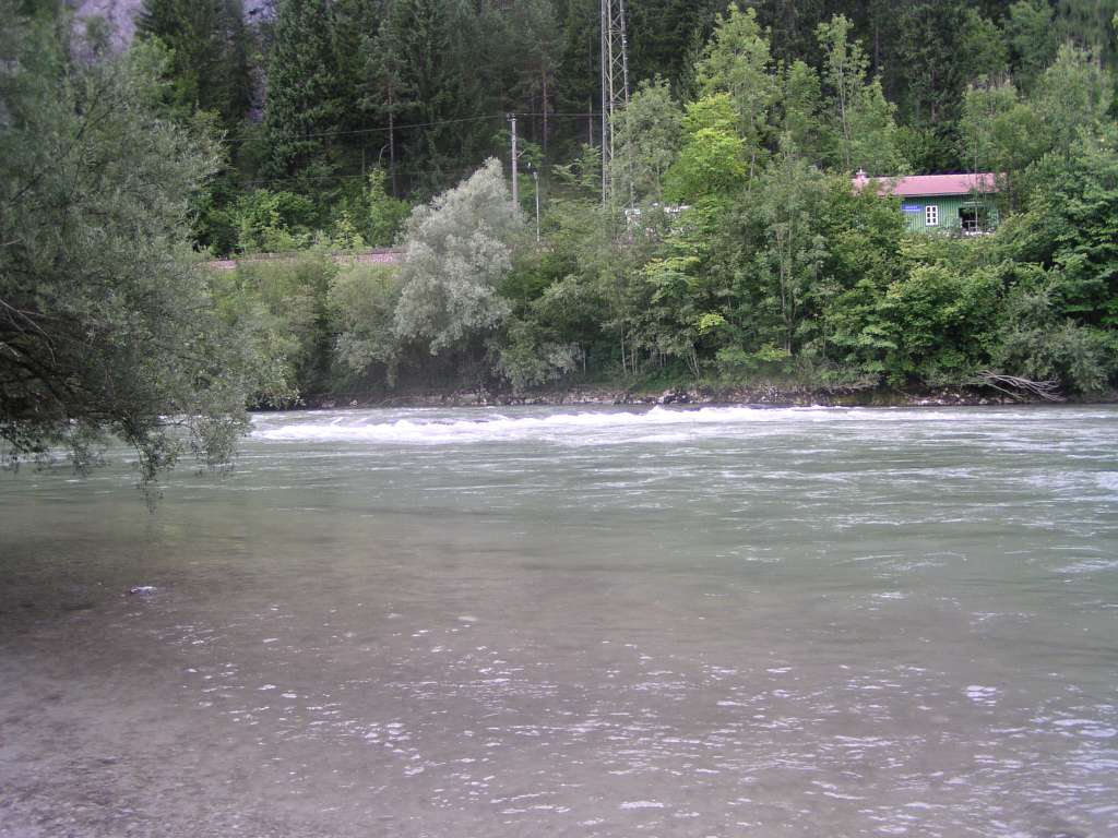P8040062-1024.jpg