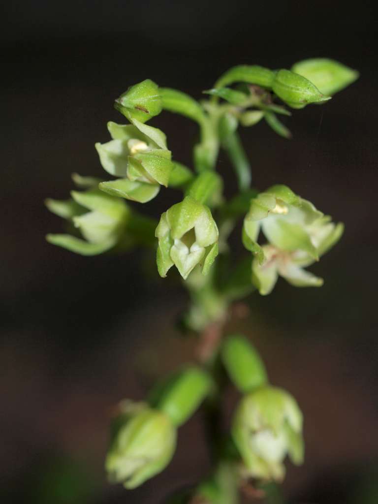 P8041057-1024~0.jpg
