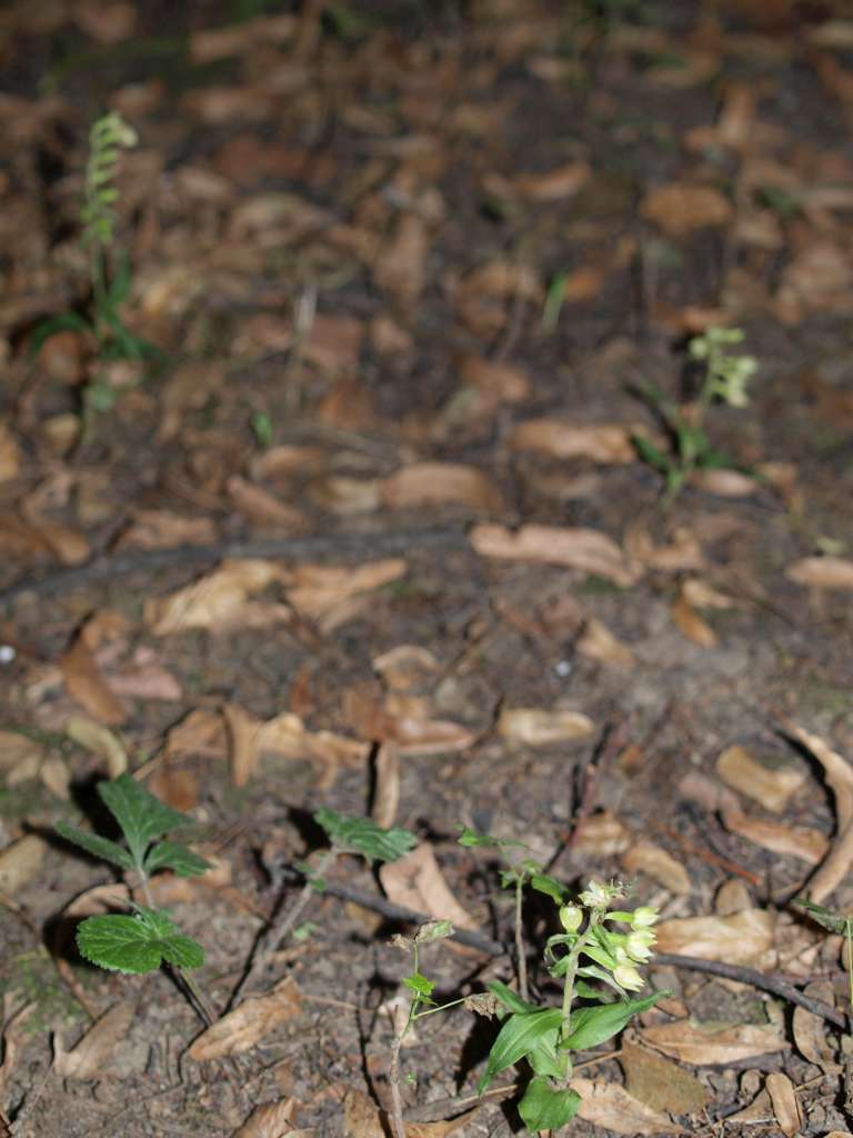 P8041086-1024~0.jpg