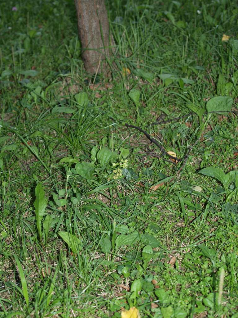 P8041089-1024~0.jpg