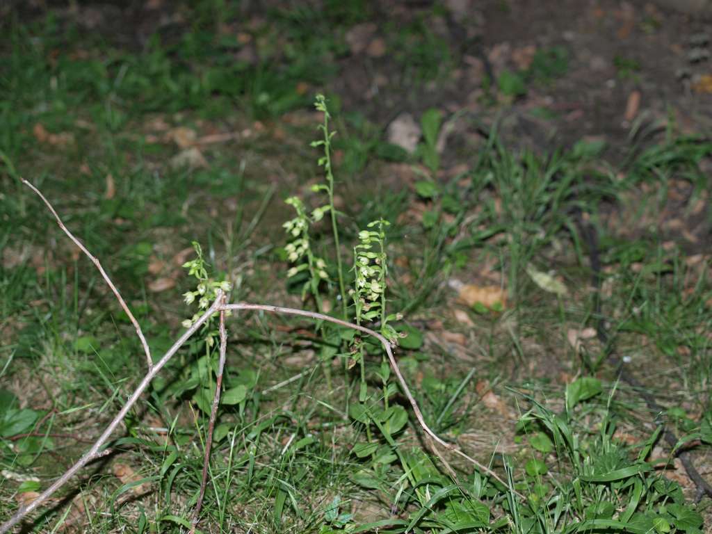 P8041091-1024~0.jpg