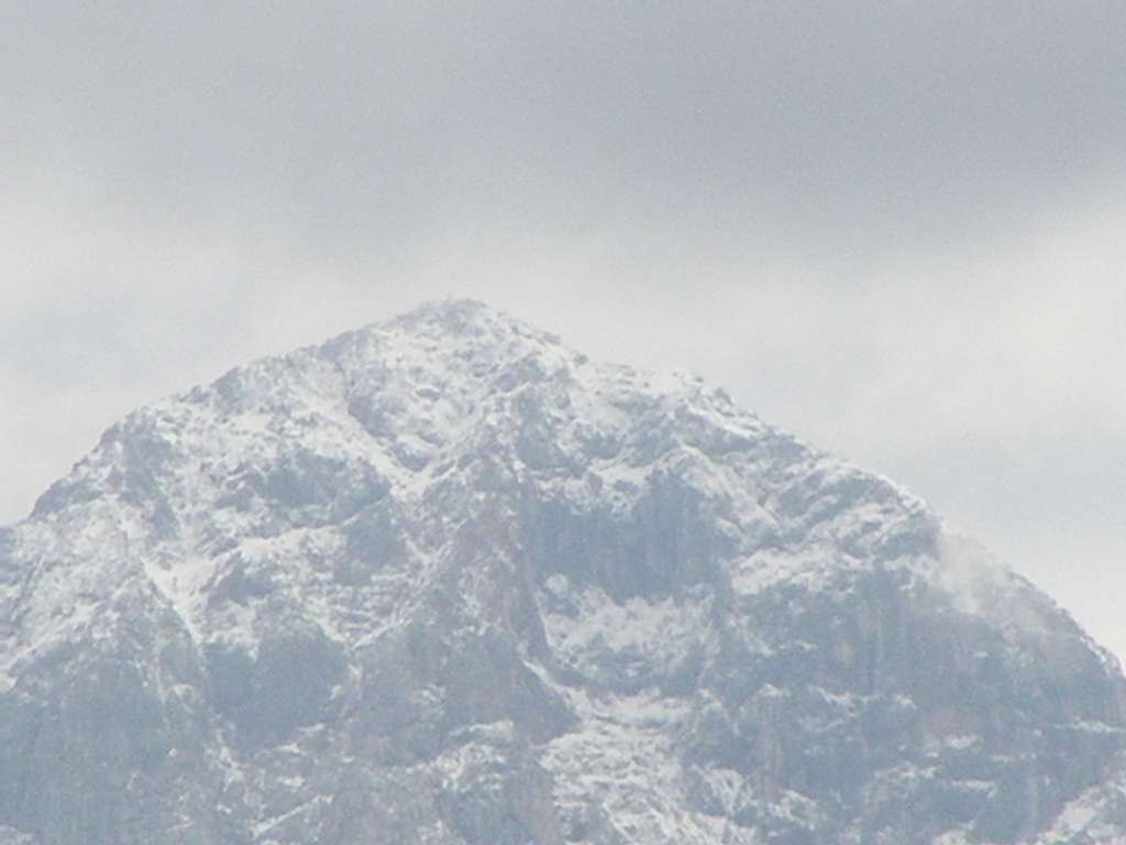 P8050008-1024.jpg