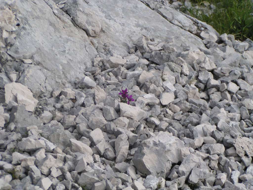 P8050011-1024~0.jpg