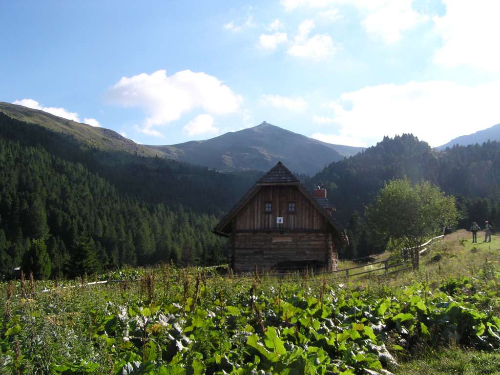 P8050027-1024.jpg
