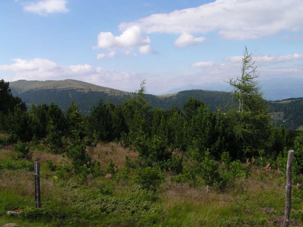 P8058893-1024.jpg
