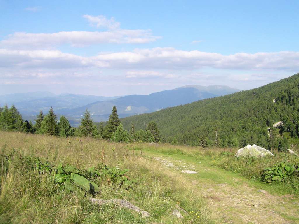 P8058918-1024.jpg