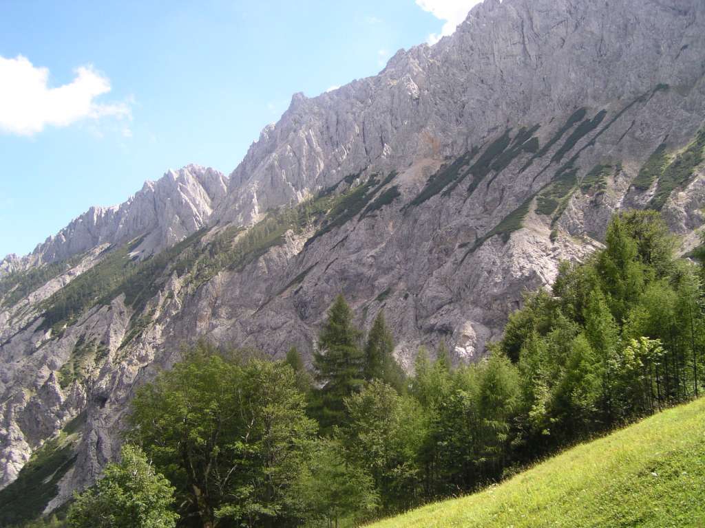P8060079-1024.jpg