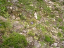P8060035-1024.jpg