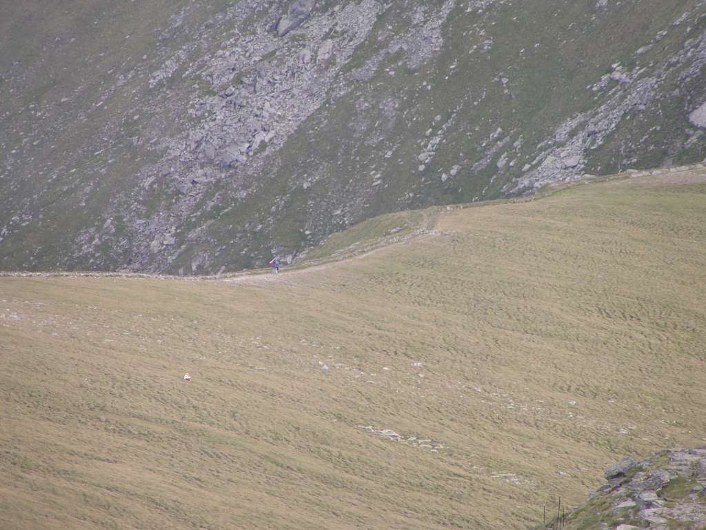 P8069050-1024.jpg