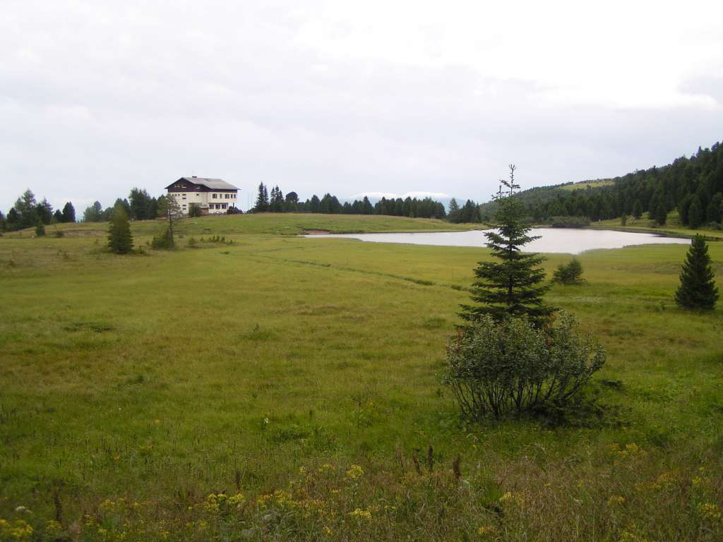 P8070101-1024.jpg