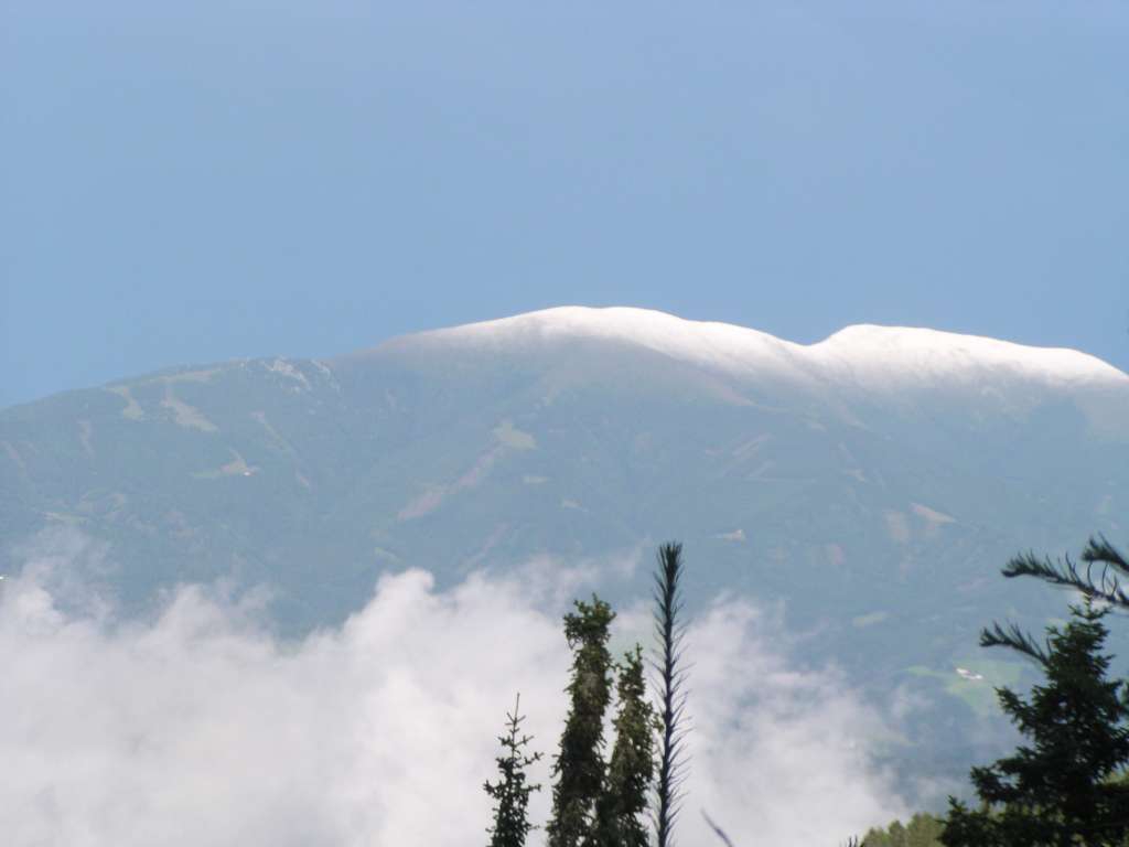 P8070105-1024~1.jpg