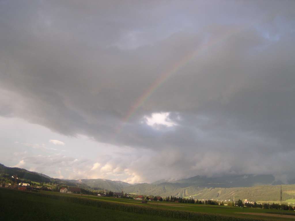 P8070109-1024~1.jpg