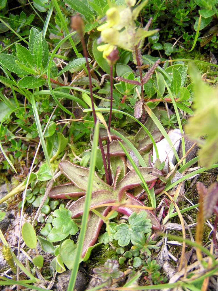 P8090095-1024~0.jpg
