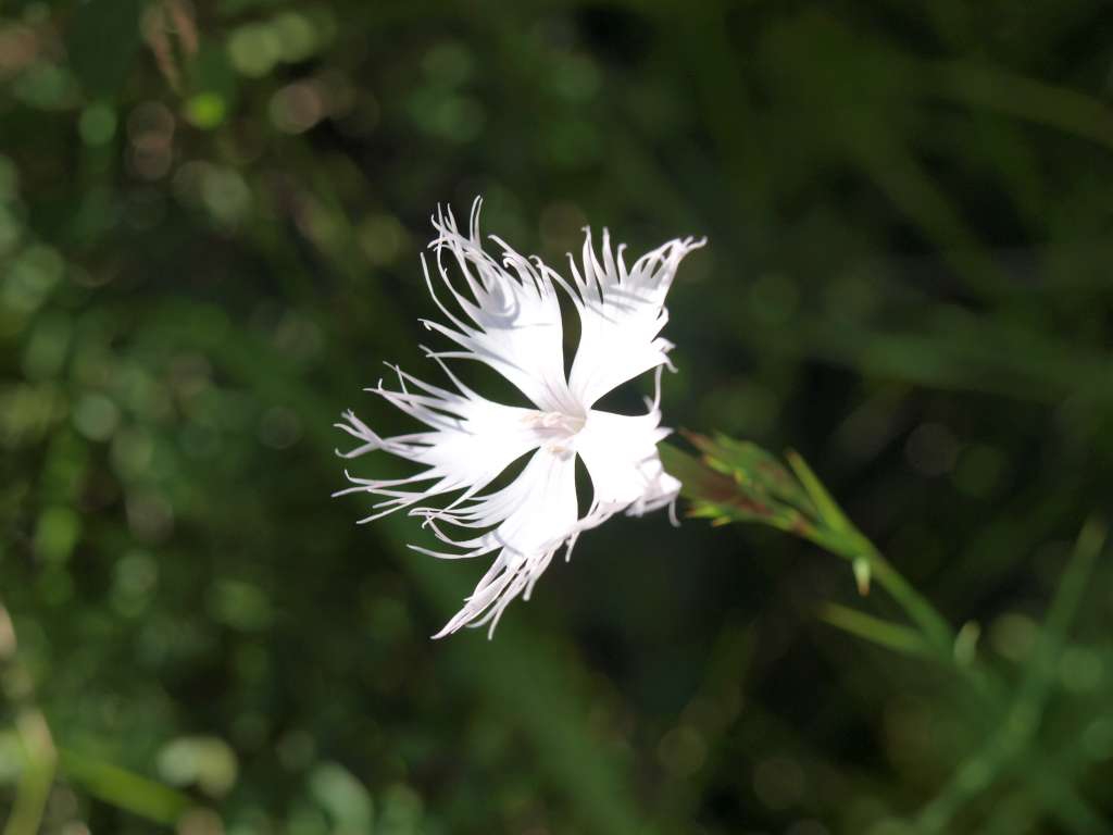 P8101265-1024.jpg