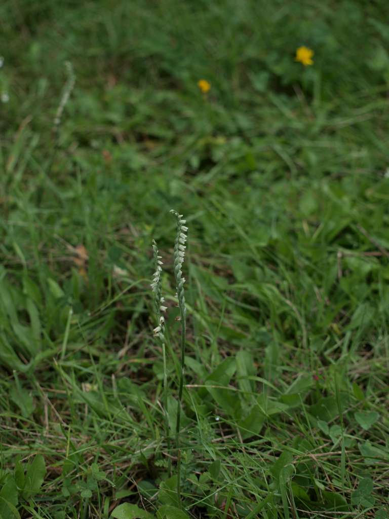 P8266440-1024~0.jpg